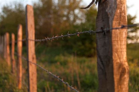 Premium Photo Close Up Of Barbed Wire Fence