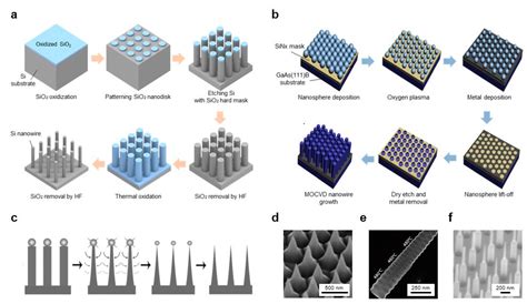 Micromachines Free Full Text Recent Advances In Vertically Aligned