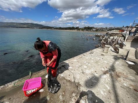 Caleta Guanaqueros Ley De Caletas Permite Entrega A Pescadores Para Su