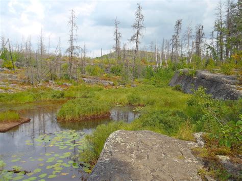 Earthscienceguy Minnesota Geology Monday Magnetic Rock