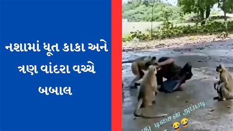 Viral Video નશામાં ધૂત વ્યક્તિ અને ત્રણ વાંદરાઓ વચ્ચે થઈ જોરદાર બબાલ