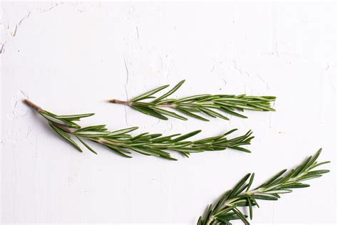 Rosemary Benefits Side Effects And Recipes