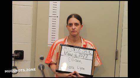 ELLISON DEBRA LYNN 09 20 2023 Chilton County Mugshots Zone