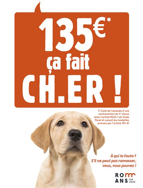 Campagne de lutte inédite contre les déjections canines