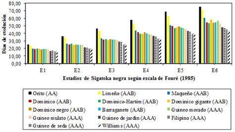 Duración en días de la evolución de síntomas de Sigatoka negra E1