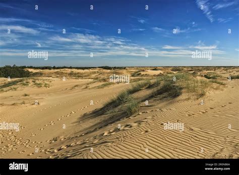 Remote Desert Landscape With Sparse Vegetation And White Clouds Stock