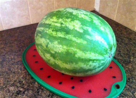 HOW TO CARVE: A WATERMELON PIG - What About Watermelon?