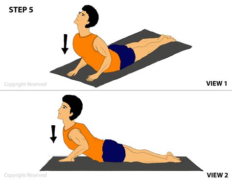 Bhujangasana Benefits, Steps and Benefits, Steps | 101yogasan