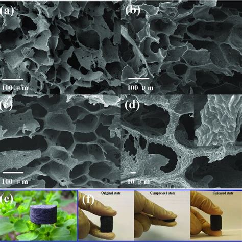 Xrd Patterns Of Graphene The Tpu Foam And Its Cpc Foams With Graphene