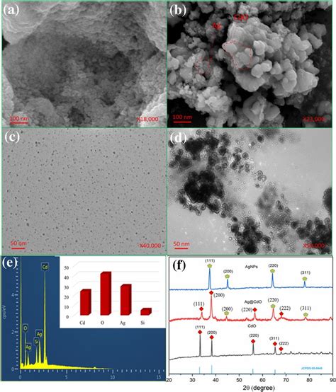 SEM Images Of Ag NPs A Ag CdO Nanocomposite B TEM Image Of Ag NPs