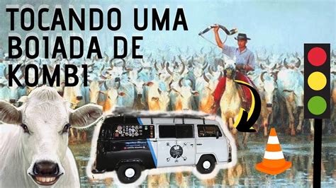 OS BOIS ENTRARAM NA FRENTE DA KOMBI Motorhome Kombi Kombihome YouTube