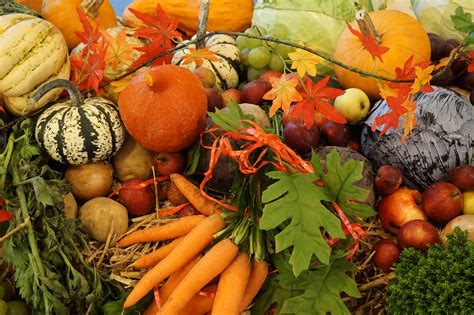 Automne Et Alimentation Observatoire Des Aliments