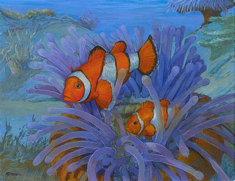 Clownfish Paintings for Sale - Fine Art America