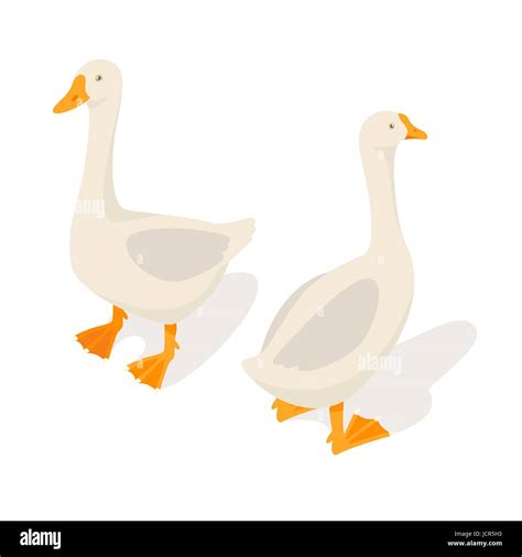 Isometric 3d Vector Illustration Of Farm Goose Isolated On White