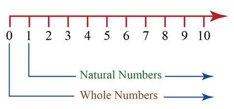 Natural Whole Numbers C12