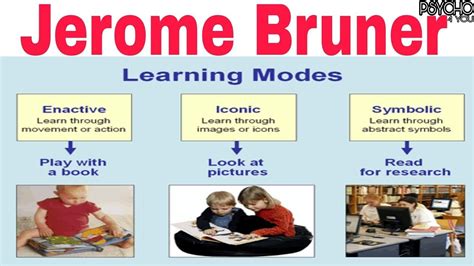 Jerome Bruner S Theory Of Discovery Learning Representation In