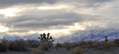 Snow at in the San Bernardino Mountains by 88nascarfan on DeviantArt