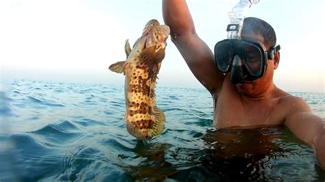 Hindi Na Sayang Ang Pagsisid Ko May Huli Na Namang Lapu Lapu Fishing