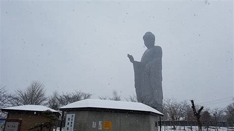 Ushiku Daibutsu The Big Buddha Hd Wallpaper Pxfuel