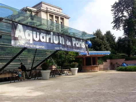 Location Aquarium du Trocadéro Paris 16ème Trait Tendance