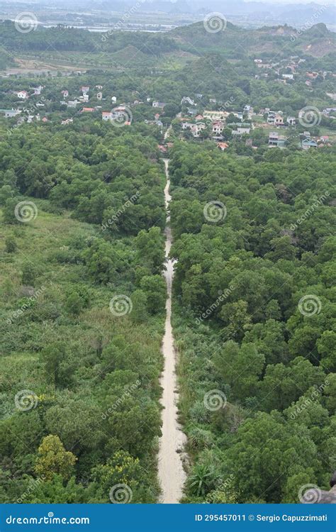 View Of A Road In The Forest Inside Bai Dinh Pagoda A Buddhist Temple