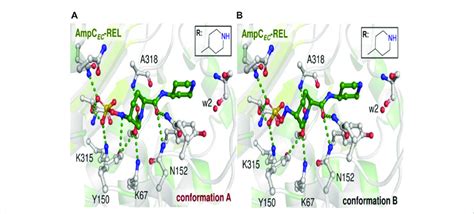 Representation of AmpC-relebactam complexes. Active region of ...