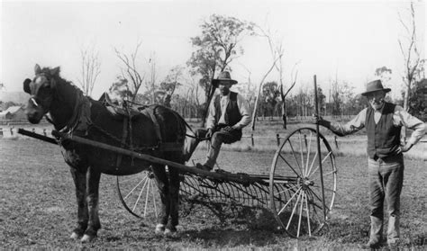 Horse Drawn Hay Rake | Old farm equipment, Old farm, Farm scene