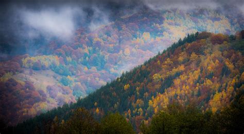 Workshop De Fotografie In Sibiu Culori De Toamna Romania Photo Tours