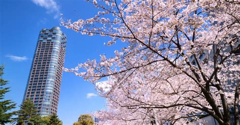 年収1000万円超えプレイヤーが選んだ「東京23区の住みたい街ランキング」 1位は？：年収3000万超えプレイヤーの結果も公開