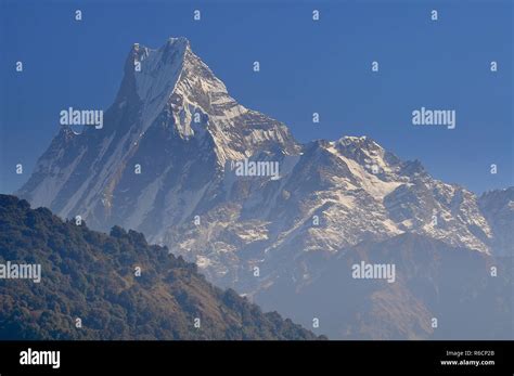 Nepal Annapurna Conservation Area Machapuchare Or Machhapuchhre Fish