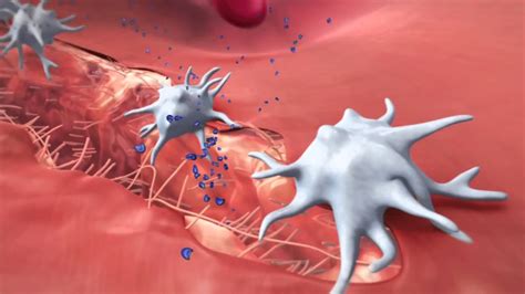 Coagulation Cascade Animation