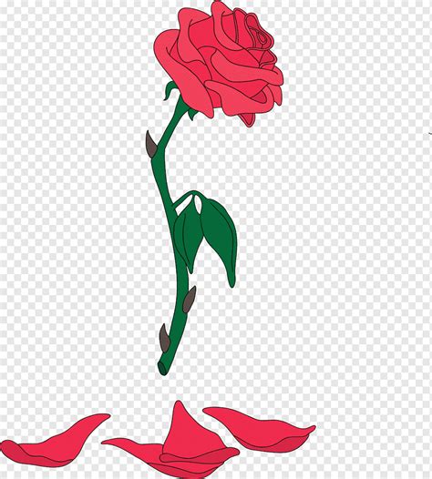 Red Rose Illustration YouTube Animation Desktop Rose Outline Plant