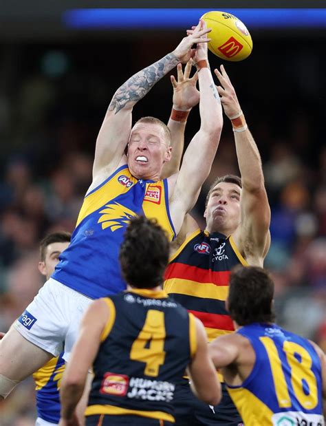 Three Word Analysis Of Every West Coast Eagles Player In Adelaide Crows