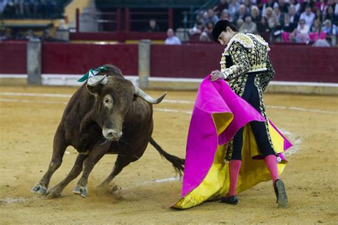 El Matador Peruano Roca Rey Busca Redimirse En M Xico Ante Toros De Corlom