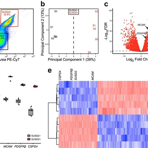 Single Cell RNA Seq Analysis Of Isolated Cells From Human Myometrial