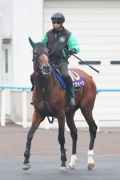 【函館記念】池添謙一騎手が騎乗するサヴォーナが前日単勝1番人気 3連単は全て万馬券の大混戦ムード 写真1 Umatoku 馬トク