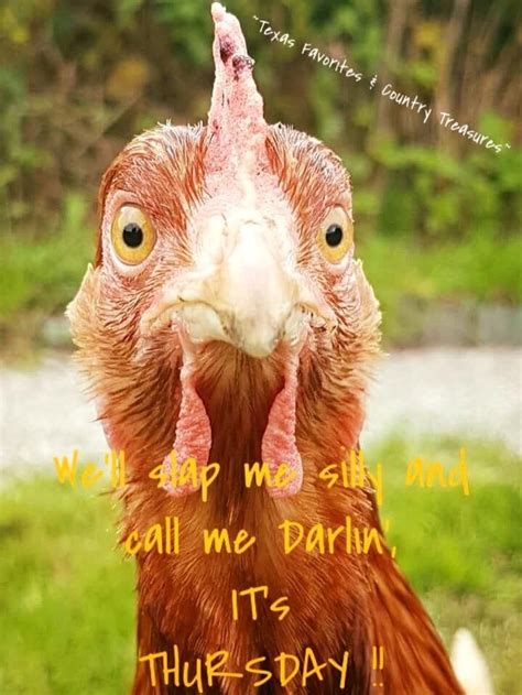 Pin By Kim Dyre On Thursday Humor Chickens Backyard Beautiful