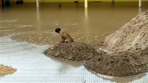 Rio Guaíba inunda ruas lojas e rodoviária de Porto Alegre Vídeo