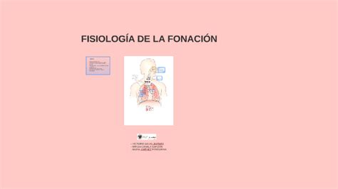 FisiologÍa De La FonaciÓn By Vicky Salas On Prezi Next