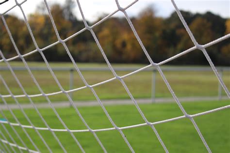 Serie B Il Brescia Retrocede Cosenza Salvo Lagoleada It