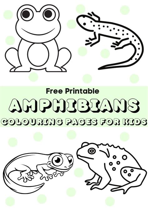 Amphibians Colouring Pages