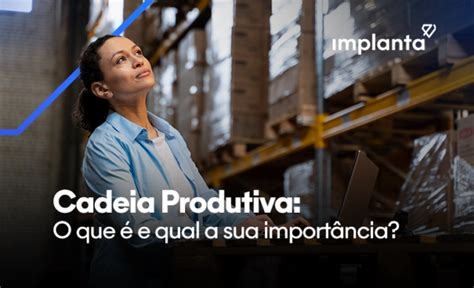 Cadeia Produtiva O Que E Qual A Sua Import Ncia