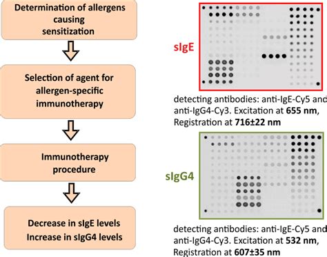 Multiplex Analysis Of The Sige And Sigg Panels For The Diagnosis And