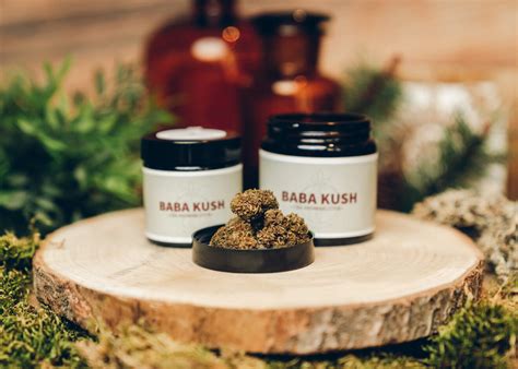 Baba Kush Cbd Bl Ten Jetzt Kaufen Naturopathys