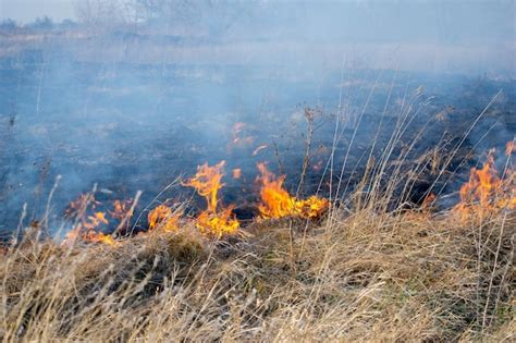 Premium Photo Dry Grass Burning On Field During Day Closeup Burning