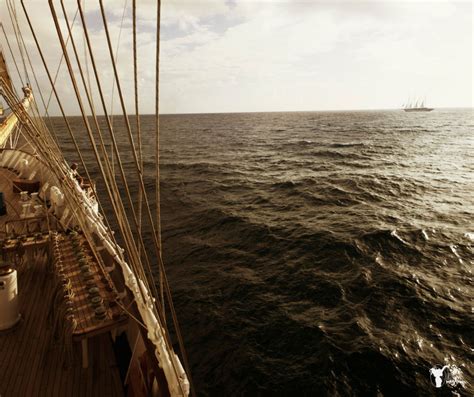 21 Intriguing Stories of Christopher Columbus - Uplifting Mayhem