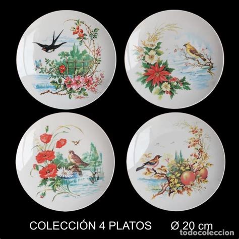 Plato Porcelana Cm Pajaros Colecci N Pl Comprar Porcelana Y