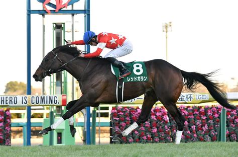 【日刊中山金杯】レッドガランが2馬身半差完勝！｜競馬ニュース｜競馬予想のウマニティ