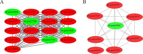 Protein Protein Interaction Ppi Network Analysis Of Deps A And B