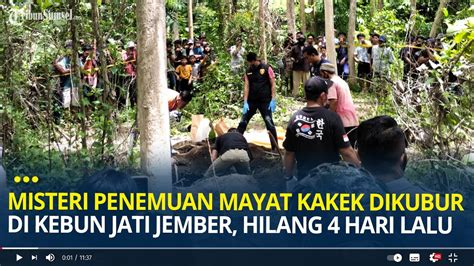 Misteri Penemuan Mayat Kakek Dikubur Di Kebun Jati Jember Pergi Dari